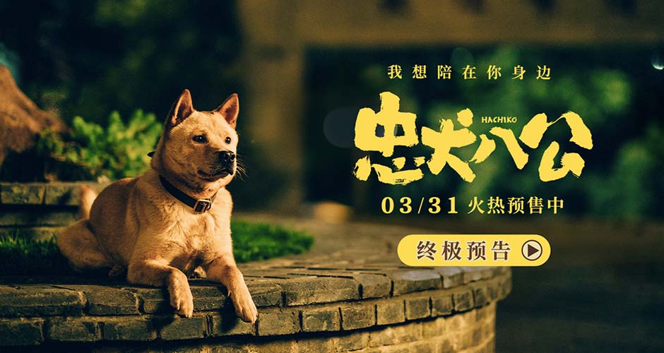 年度重磅情感炸弹《忠犬八公》曝终极预告 真挚感人获观众泪目力赞