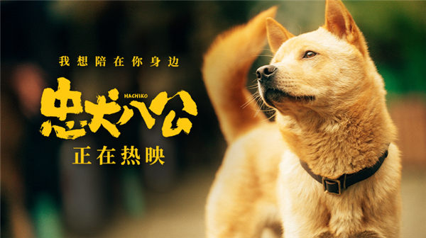 中国版《忠犬八公》片尾曲MV曝光 焦迈奇催泪唱响生命轮回