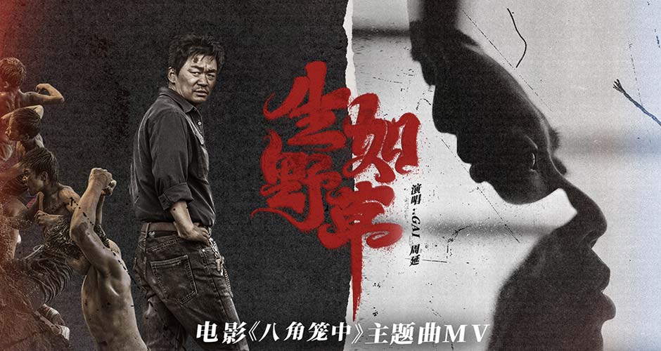 王宝强新作《八角笼中》曝主题曲《生如野草》MV  GAI周延唱响命运的不屈之声