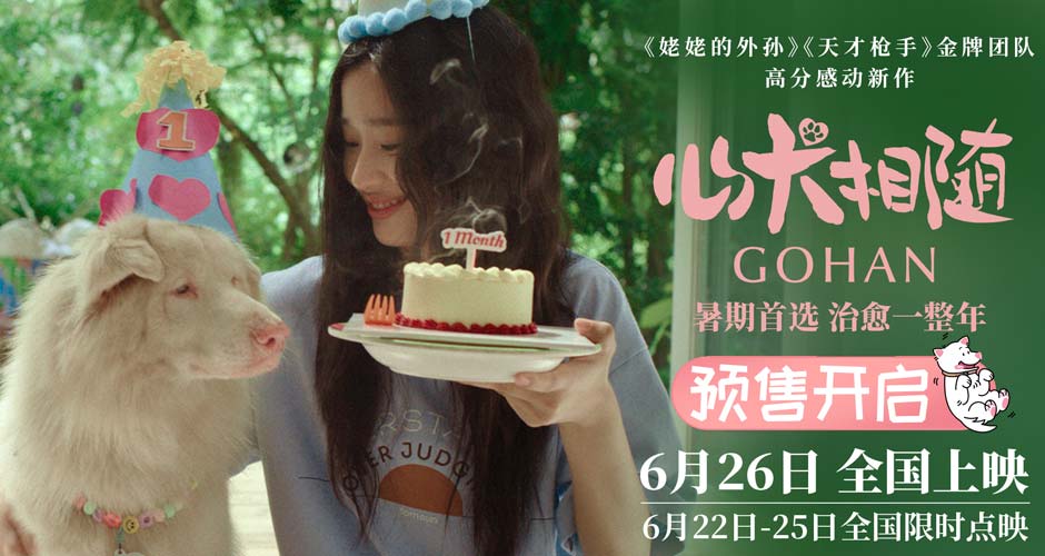 暑期首选电影《心犬相随》预售开启 全国路演引爆口碑 